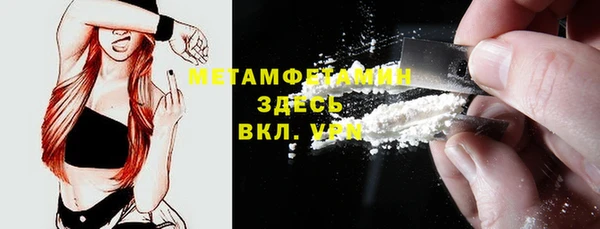 трава Аркадак