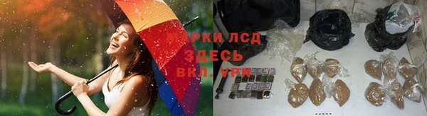 герыч Арсеньев