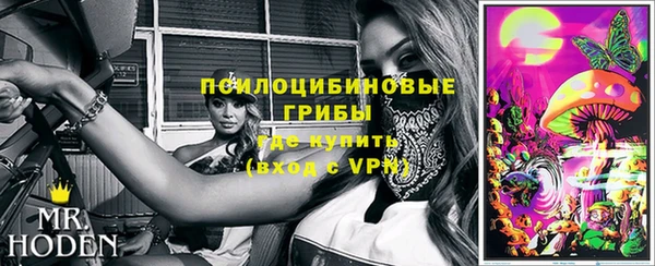 герыч Арсеньев