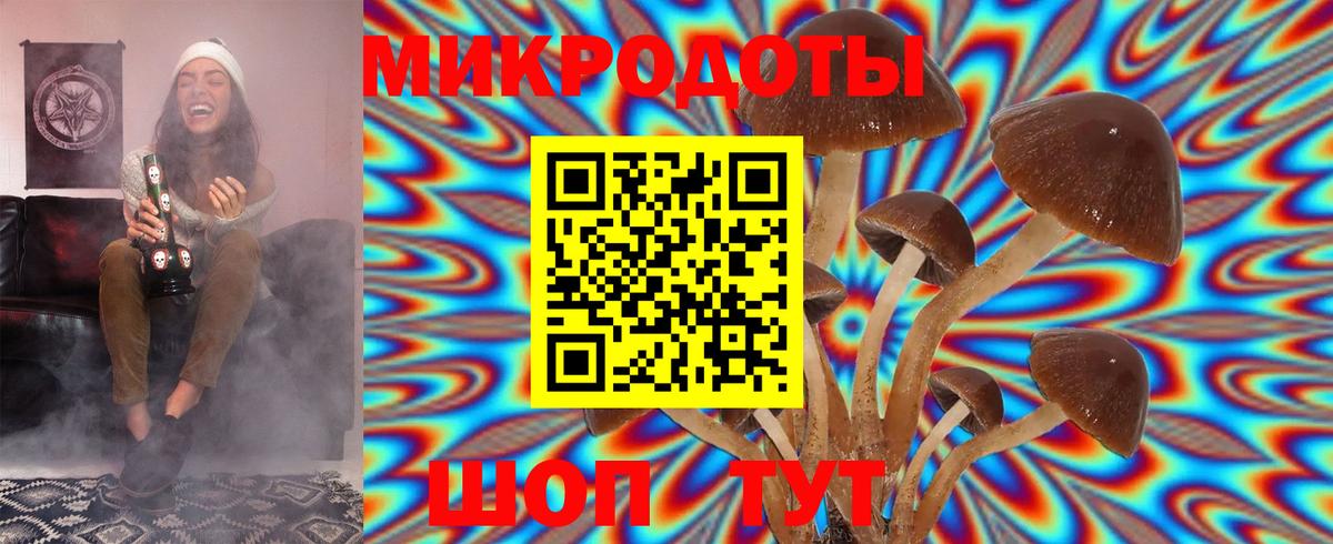 Владивосток  Галлюциногенные грибы GOLDEN TEACHER  Вход с VPN 